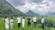 青春实践派｜旱地喝饱水，长顺改出新“稻”路